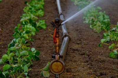 喷水器 水射流 人为地 农业 灌溉 景观 干燥 水 摔碎 场地