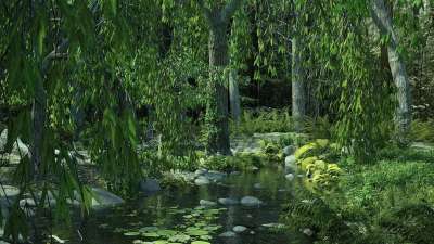 景观 森林 光 渲染 魔法 水 安静的 形象的 树木 环境