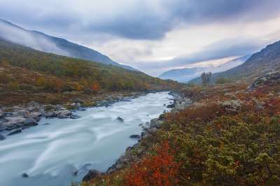 河 谷 山 溪 落下 秋天 多雾路段 景观 自然 风景秀丽的