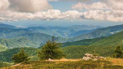 山 山景观 海上阿尔卑斯山 阿尔卑斯山 自然 云 高山全景