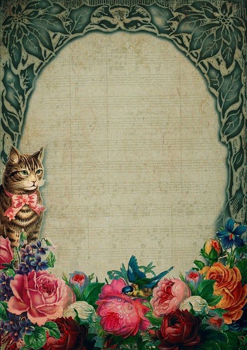 年份 框架 花 猫 成绩 花的 纸 浪漫的 复制空间 优质的