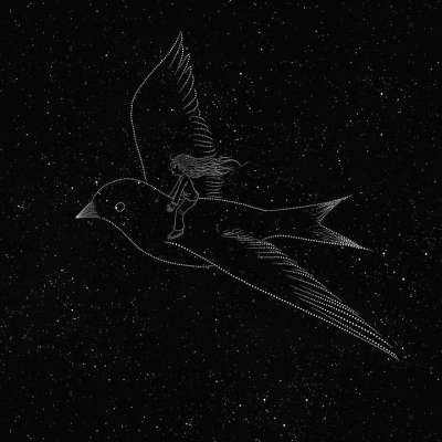 鸟 女孩 翅膀 星星 宇宙 繁星点点 星系 空间 夜晚