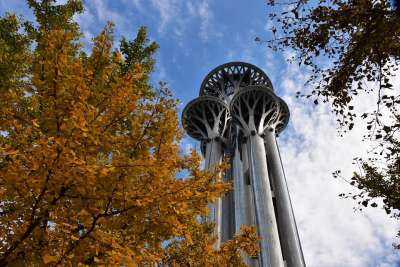 秋天 建筑物 奥林匹克公园 奥运塔 北京 北京地标 银杏树