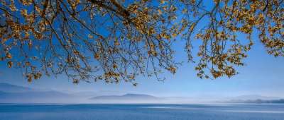 湖 树 孤独 蓝色的 山 景观 秋 景观 景观 秋 秋 秋
