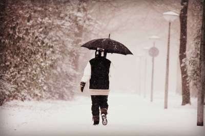 人 女士 步行 雪 冬天 寒冷的 雨伞 车道 公园