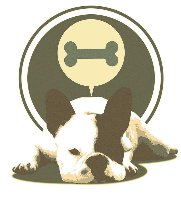 斗牛犬 说谎 狗 躺着的狗 懒惰