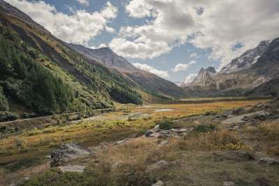 山 树木 森林 景观
