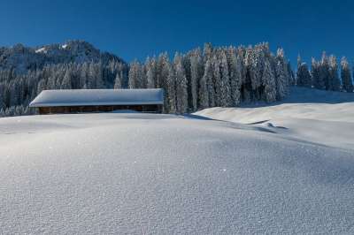 冬天 景观 阿尔菲特 山 雪 自然 寒冷的 冬季景观 霜 树木