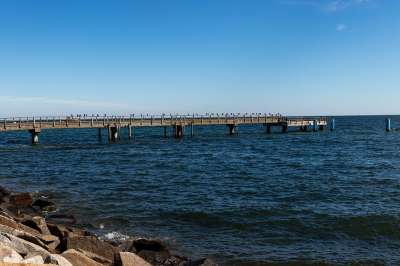 木板路 海 海洋 岩石 石头 防波堤 障碍 海景 波浪 水
