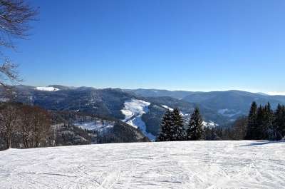 黑森林 滑雪道 儿童山 初学者 爬坡道 自然 雪 冬天 森林