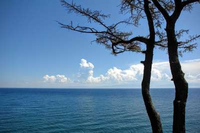 贝加尔湖 俄罗斯 伊尔库茨克 外表 湖 树木 天堂 水 景观