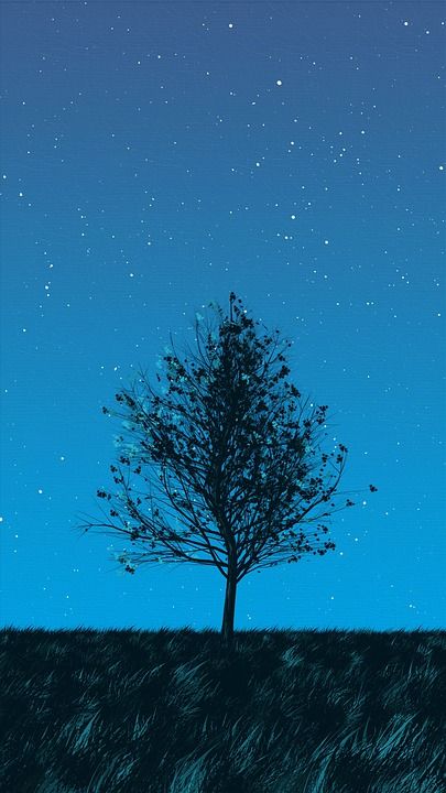 绘画 创造力 树 夜晚 草原 蓝色的漆 蓝色油漆 蓝色的创作