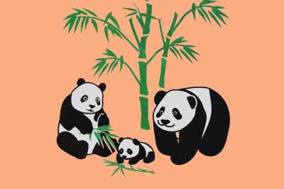熊猫 动物 矢量图形 熊 荒野 动物园 自然 可爱的 野生动物