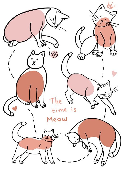 猫 宠物 动物 小猫 猫科动物 喵 画画 可爱的 图案 卡通片