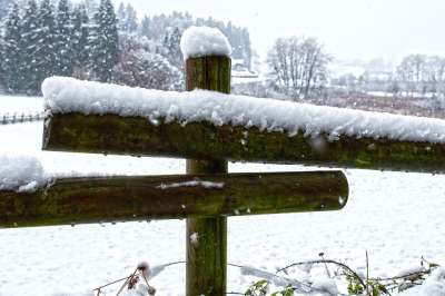 牧场围栏 耦合 新西兰 降雪 景观 围场 自然 栅栏 木头
