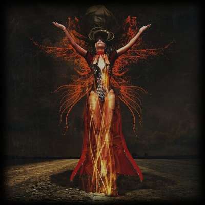 女士 巫婆 转型 夜晚 神秘 梦的世界 可怕的 童话 神秘生物