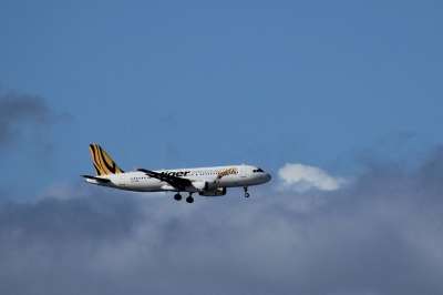 老虎 空气 降落 方法 预算 航空公司 悉尼 澳大利亚 航空
