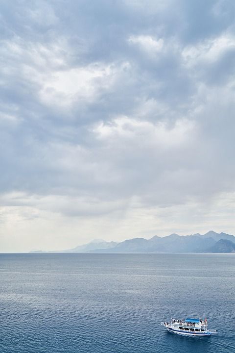 海 波浪 背景 旅行 日落 美丽的 海岸 天空 自然 地平线