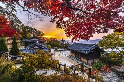 韩屋 村庄 日出 早晨 树木 秋天 落下 房屋 建筑物