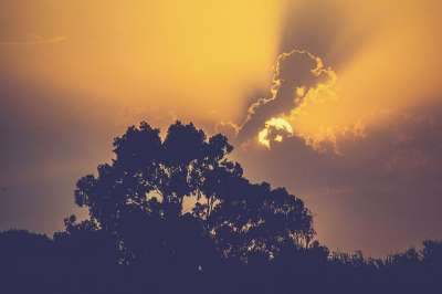 日落 天空 太阳 松弛 云 景观