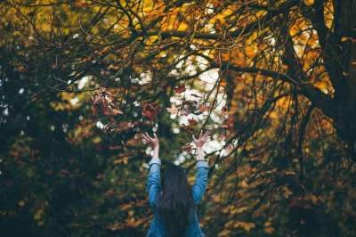 人们 女士 女孩 树 植物 自然 秋天