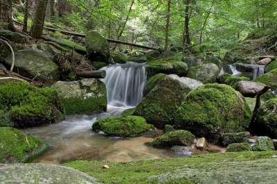 瀑布 水 绿色 森林 树木 性质 流 溪流