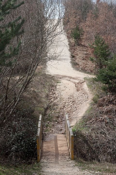 小路 桥 自然 网络 木头 行人桥 沥青 山 木板路 过境