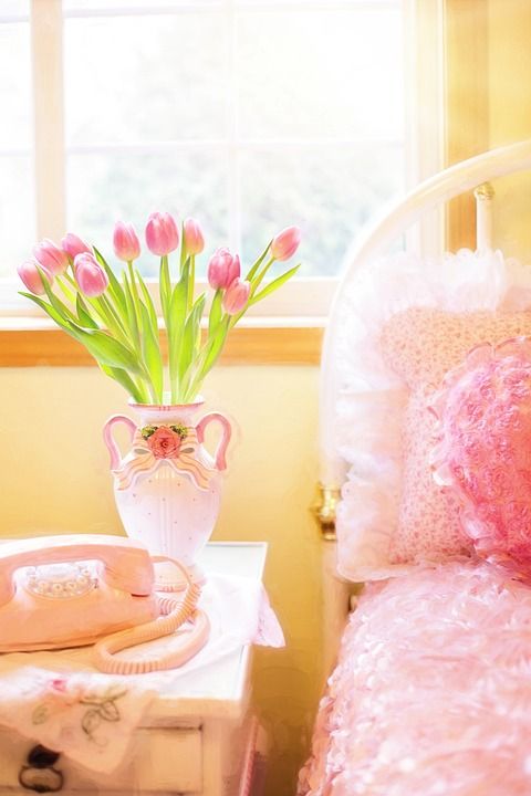 郁金香 粉色的 床 早晨 粉色电话 春天 花的 花束 新鲜的