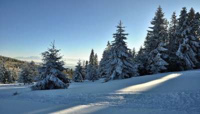 景观 山 视图 雪 冬季 冷 弗罗斯特 冻结 Kas 树木