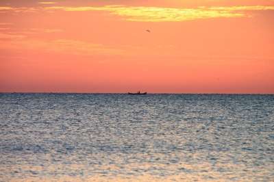 船 黑暗的 渔夫 钓鱼 红色的 海 日出 水 波浪 自然