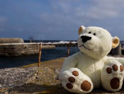 泰迪熊 熊 小熊 旅行 海 波罗的海 假期 太阳 放松 白色的
