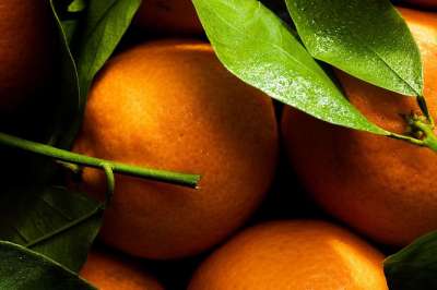 Clementine 橙色 美食 水果 健康 打招呼 自然 巴勒莫