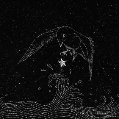 鸟 星星 翅膀 宇宙 繁星点点 星系 空间 夜晚 卡通片 绘画