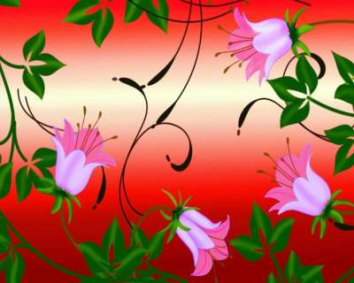花朵 背景 花的 装饰 图案 设计 装饰性的 颜色 数字艺术