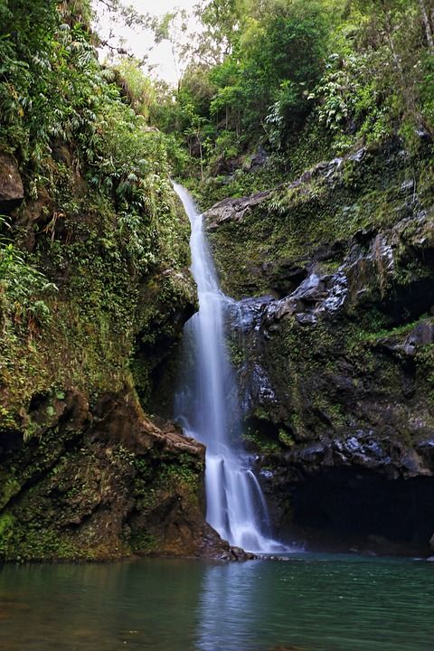 瀑布 毛伊岛 假期 风景秀丽的 景观 花 水 夏威夷