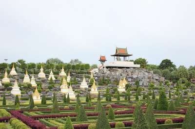 花园 自然 花 有天赋的人 户外的 花丛 庭园 新鲜的 旅游景点