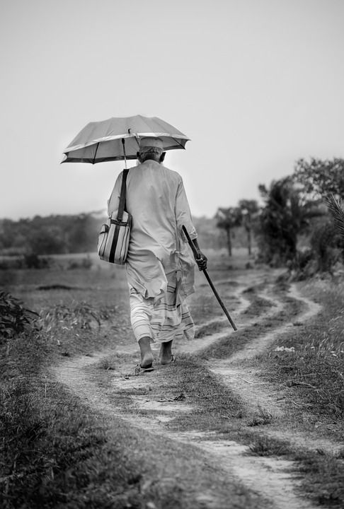 老人 祖父 步行 雨伞 路 街道 灰走的 灰色的伞