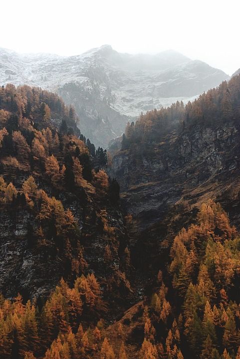 山 自然 树木 森林 秋天 荒野 户外 山 森林 秋天 秋天
