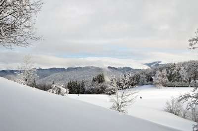 冬天 场景 山 仙境 森林 寒冷的 户外的 日落 雪 假期