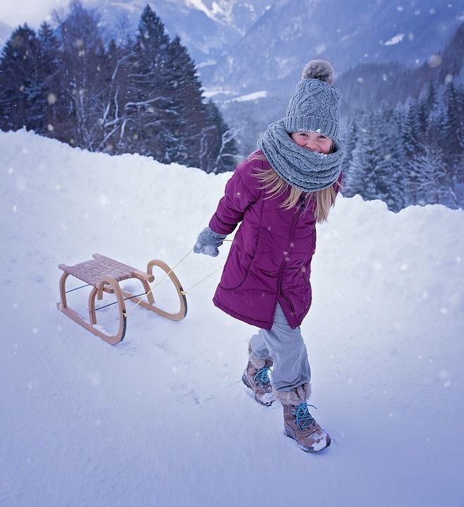 人 人的 孩子 女孩 雪橇 冬天 雪 寒冷的 户外 自然