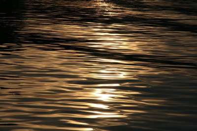 金子 暮 海 水 表面 质地 晚上 日落 仍然