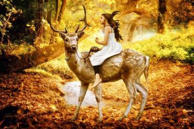 童话 神秘 幻想 朋友们 友谊 保护器 仙女 森林 魔术 鹿