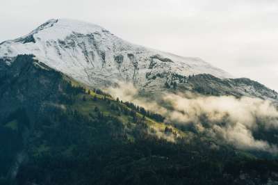 山 树木 多雾路段 晨雾 阿尔卑斯山 高山 阴霾 薄雾 森林