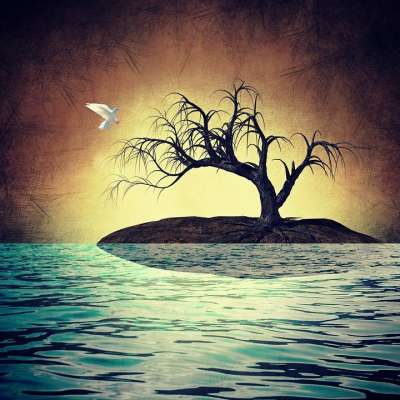 岛 海 幻想 孤独 艺术 Digiart 树 鸟 童话 鸽子