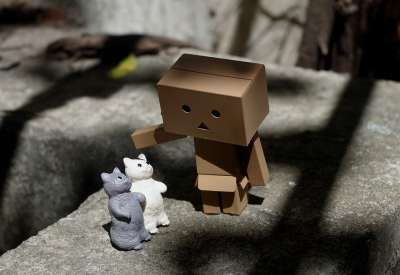 Danbo 户外的 玩具 猫 小猫 国内的 塑像 小的 可爱的