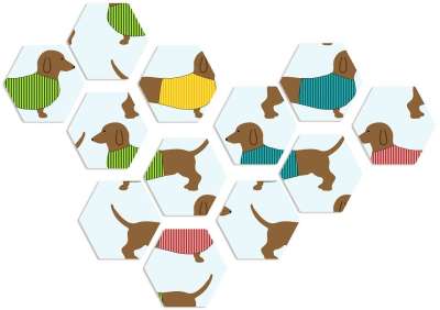 腊肠犬 狗 动物 宠物 品种 棕色 微型 纯种 长 腊肠狗