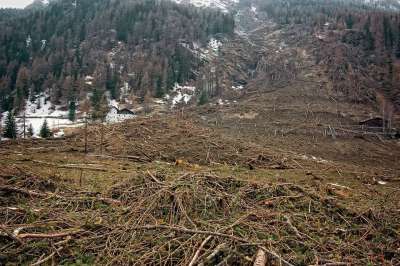 森林 砍伐森林 Pxclimateaction 山 破坏 滑坡 雪崩