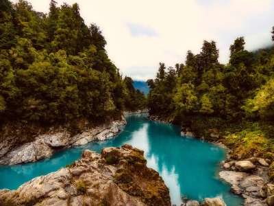 新西兰 河 溪 景观 岩石 石头 森林 树木 自然 户外