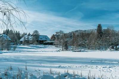 湖 树木 舱 小屋 建造 森林 冬天 冻结 下雪的 村庄