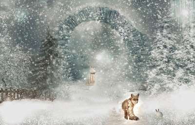幻想 冬天 兔子 梦想 雪 雪花